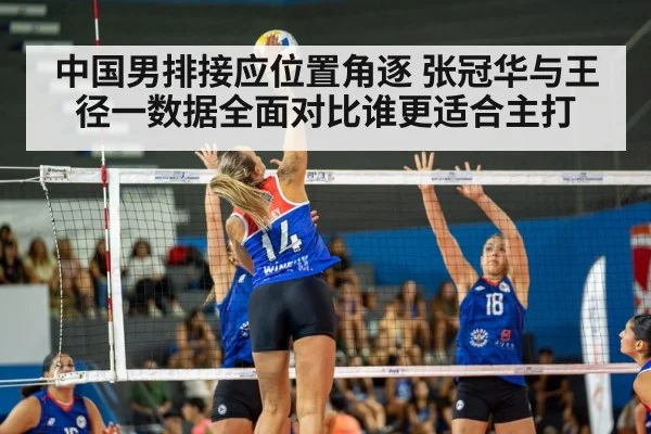 中国男排接应位置角逐 张冠华与王径一数据全面对比谁更适合主打