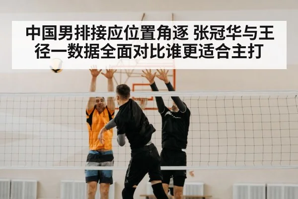 volleyball block net