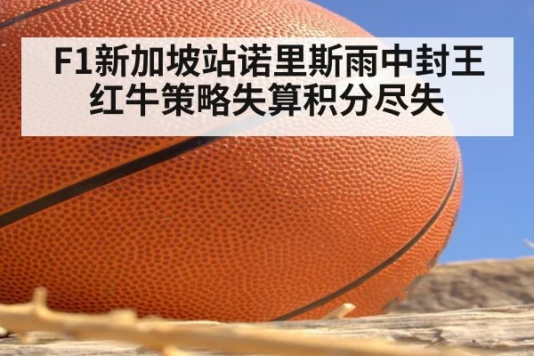 F1新加坡站诺里斯雨中封王 红牛策略失算积分尽失
